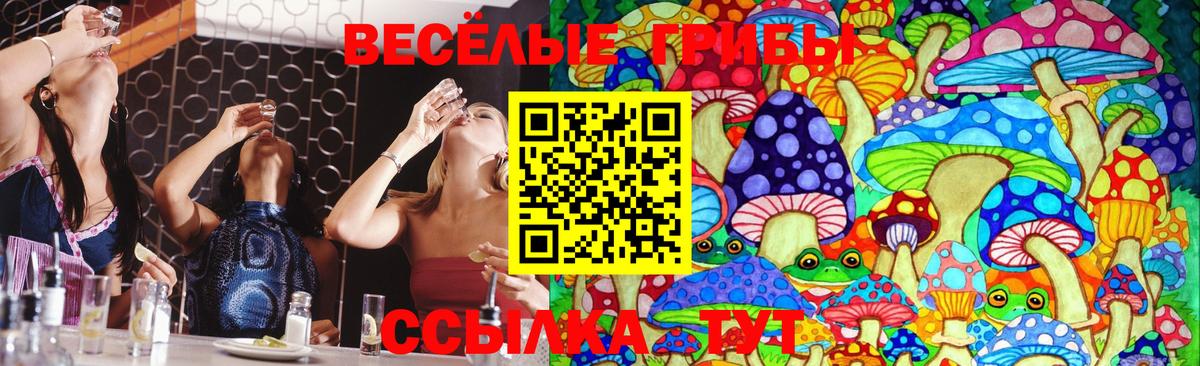 Псилоцибиновые грибы мицелий  Вход с VPN  Вязники 