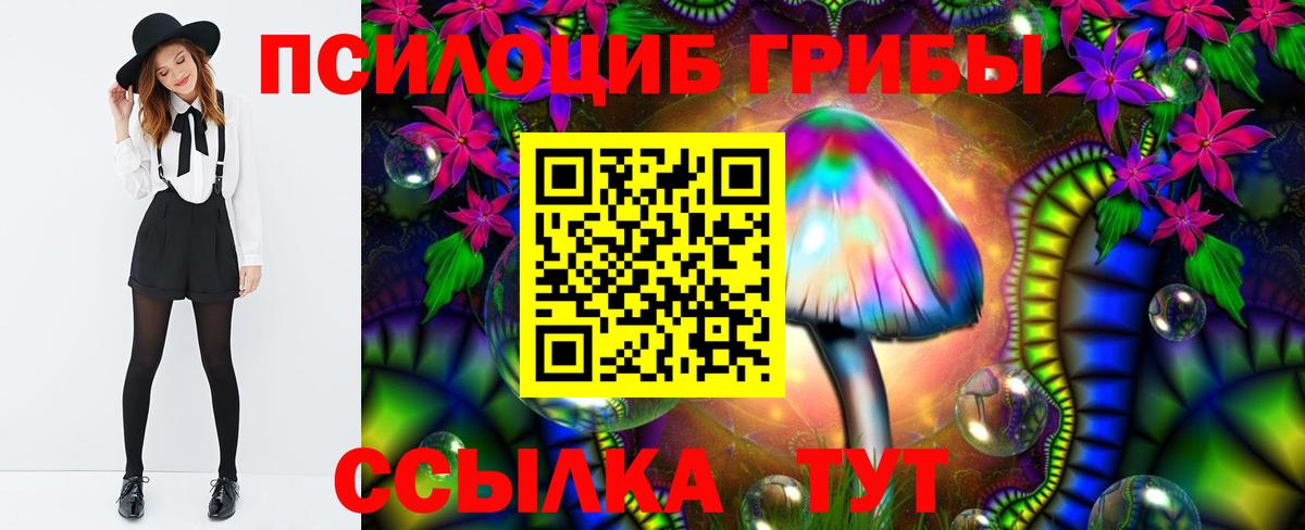 Галлюциногенные грибы прущие грибы Вязники